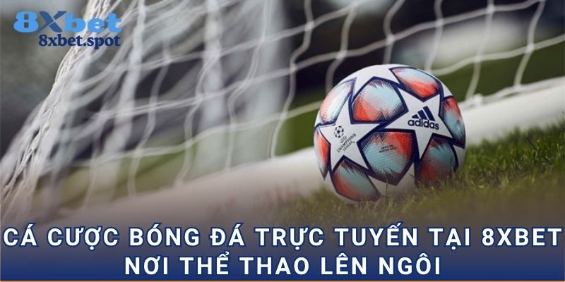 Cá cược bóng đá trực tuyến đa dạng kèo