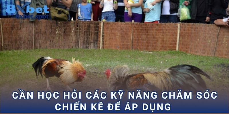 Cần học hỏi các kỹ năng chăm sóc chiến kê để áp dụng