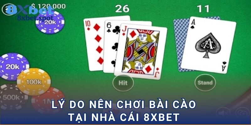 Lý do nên chơi bài cào tại nhà cái 8xbet