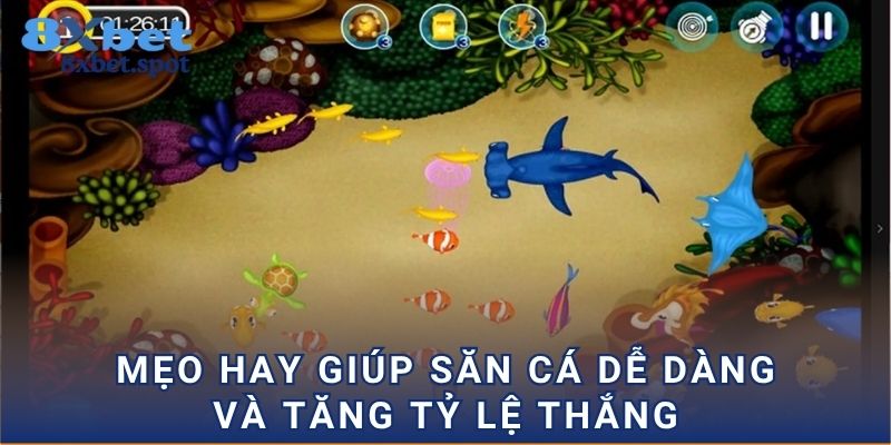 Mẹo hay giúp săn cá dễ dàng và tăng tỷ lệ thắng