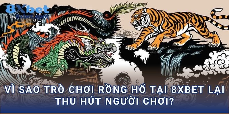 Vì sao trò chơi Rồng Hổ tại 8xbet lại thu hút người chơi?